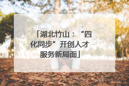 湖北竹山：“四化同步”开创人才服务新局面