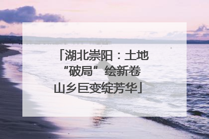 湖北崇阳：土地“破局”绘新卷 山乡巨变绽芳华