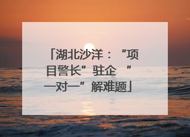 湖北沙洋：“项目警长”驻企 “一对一”解难题