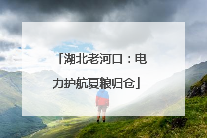 湖北老河口：电力护航夏粮归仓