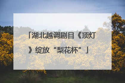 湖北越调剧目《顶灯》绽放“梨花杯”