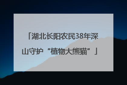 湖北长阳农民38年深山守护“植物大熊猫”