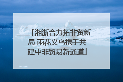 湘浙合力拓非贸新局 雨花义乌携手共建中非贸易新通道