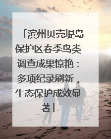 滨州贝壳堤岛保护区春季鸟类调查成果惊艳：多项纪录刷新，生态保护成效显著