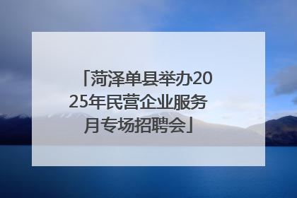 菏泽单县举办2025年民营企业服务月专场招聘会