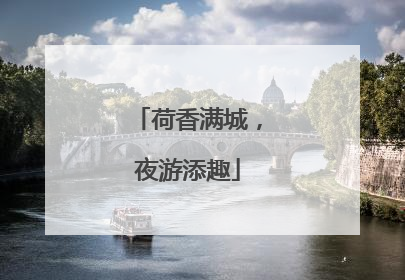 荷香满城，夜游添趣