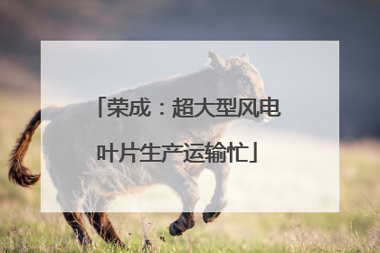 荣成：超大型风电叶片生产运输忙