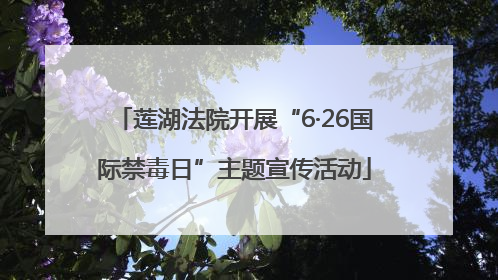 莲湖法院开展“6·26国际禁毒日”主题宣传活动
