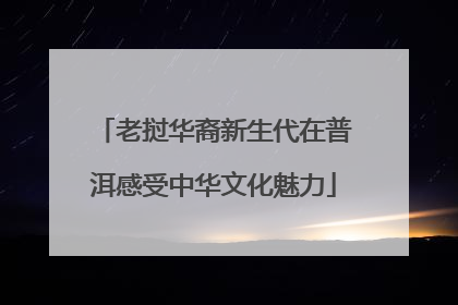 老挝华裔新生代在普洱感受中华文化魅力