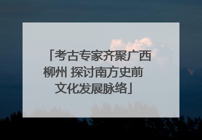 考古专家齐聚广西柳州 探讨南方史前文化发展脉络