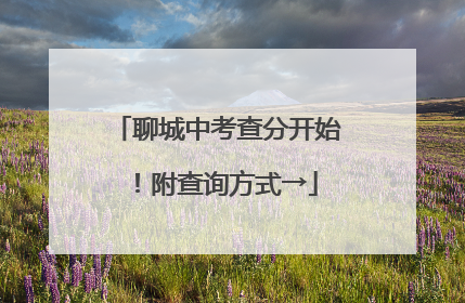 聊城中考查分开始！附查询方式→