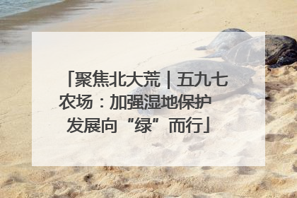 聚焦北大荒｜五九七农场：加强湿地保护 发展向“绿”而行