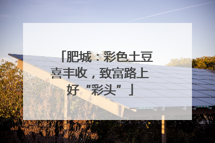 肥城：彩色土豆喜丰收，致富路上好“彩头”