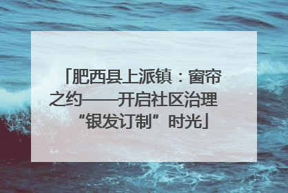 肥西县上派镇：窗帘之约——开启社区治理“银发订制”时光