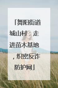舞阳街道城山村：走进苗木基地，织密反诈防护网