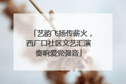 艺韵飞扬传薪火，西厂口社区文艺汇演奏响爱党强音