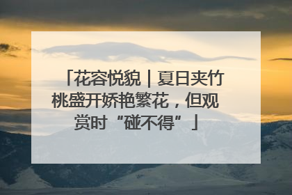 花容悦貌｜夏日夹竹桃盛开娇艳繁花，但观赏时“碰不得”
