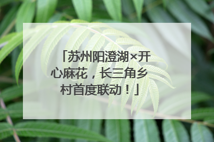 苏州阳澄湖×开心麻花，长三角乡村首度联动！