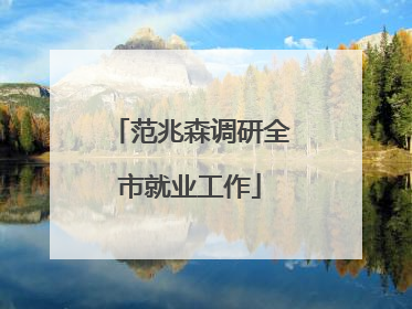 范兆森调研全市就业工作