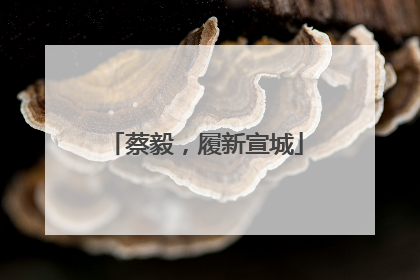蔡毅，履新宣城