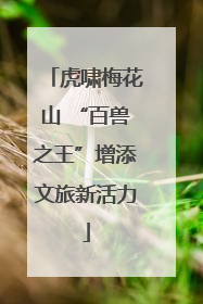 虎啸梅花山 “百兽之王”增添文旅新活力