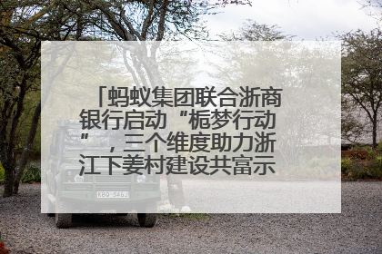 蚂蚁集团联合浙商银行启动“栀梦行动”，三个维度助力浙江下姜村建设共富示范区示范点