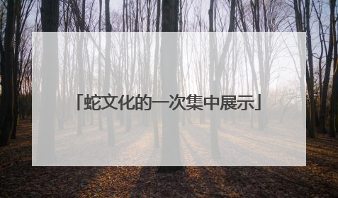 蛇文化的一次集中展示