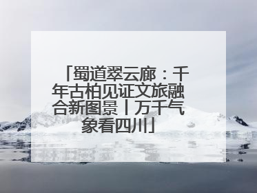 蜀道翠云廊：千年古柏见证文旅融合新图景丨万千气象看四川