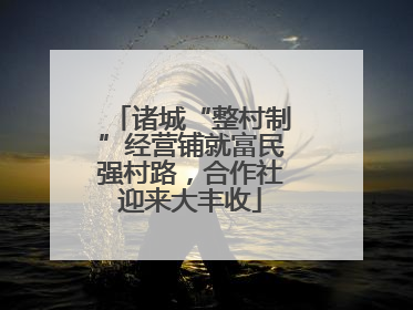 诸城“整村制”经营铺就富民强村路，合作社迎来大丰收