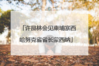 许昆林会见柬埔寨西哈努克省省长蒙西纳