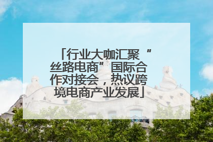 行业大咖汇聚“丝路电商”国际合作对接会，热议跨境电商产业发展