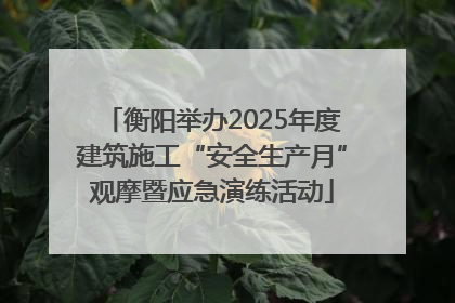 衡阳举办2025年度建筑施工“安全生产月”观摩暨应急演练活动