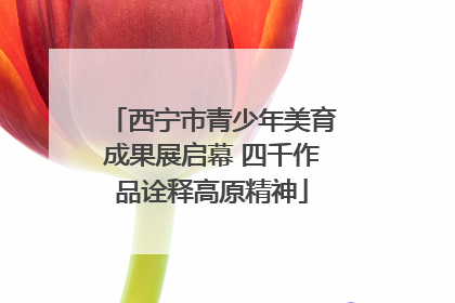 西宁市青少年美育成果展启幕 四千作品诠释高原精神