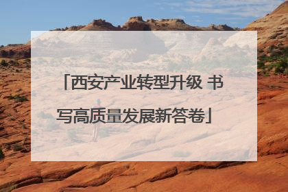 西安产业转型升级 书写高质量发展新答卷