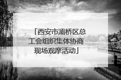 西安市灞桥区总工会组织集体协商现场观摩活动