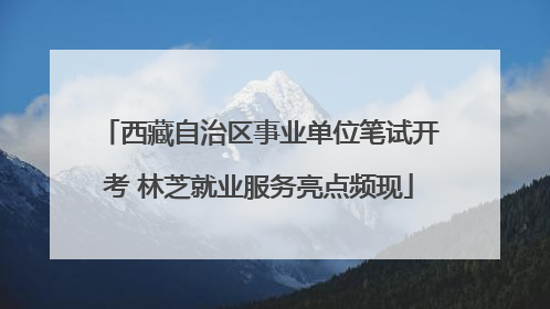 西藏自治区事业单位笔试开考 林芝就业服务亮点频现