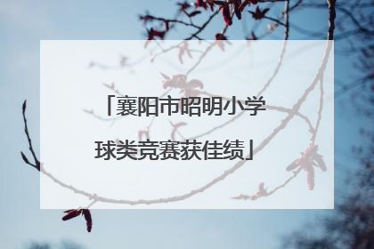 襄阳市昭明小学球类竞赛获佳绩