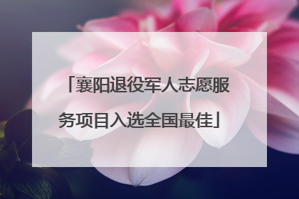 襄阳退役军人志愿服务项目入选全国最佳