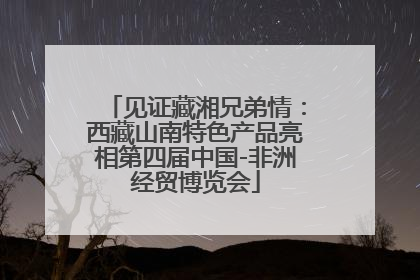 见证藏湘兄弟情：西藏山南特色产品亮相第四届中国-非洲经贸博览会