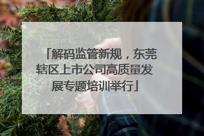 解码监管新规，东莞辖区上市公司高质量发展专题培训举行