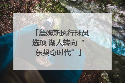 詹姆斯执行球员选项 湖人转向“东契奇时代”