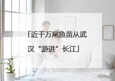 近千万尾鱼苗从武汉“游进”长江