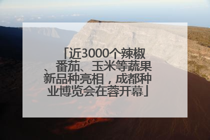 近3000个辣椒、番茄、玉米等蔬果新品种亮相，成都种业博览会在蓉开幕