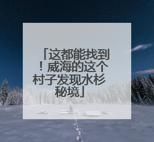 这都能找到！威海的这个村子发现水杉秘境