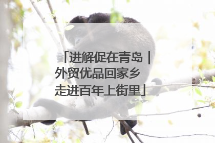 进解促在青岛｜外贸优品回家乡 走进百年上街里