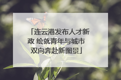 连云港发布人才新政 绘就青年与城市双向奔赴新图景