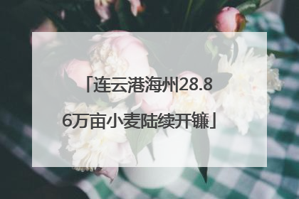 连云港海州28.86万亩小麦陆续开镰