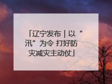 辽宁发布｜以“汛”为令 打好防灾减灾主动仗
