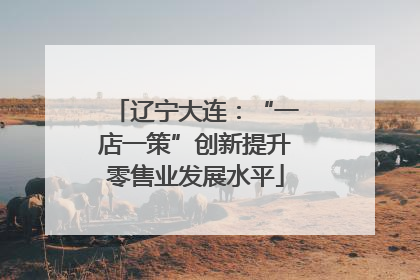 辽宁大连：“一店一策”创新提升零售业发展水平