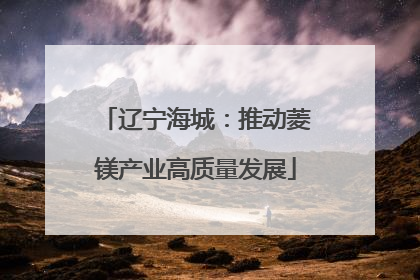 辽宁海城：推动菱镁产业高质量发展